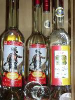 dsc00308_picnik